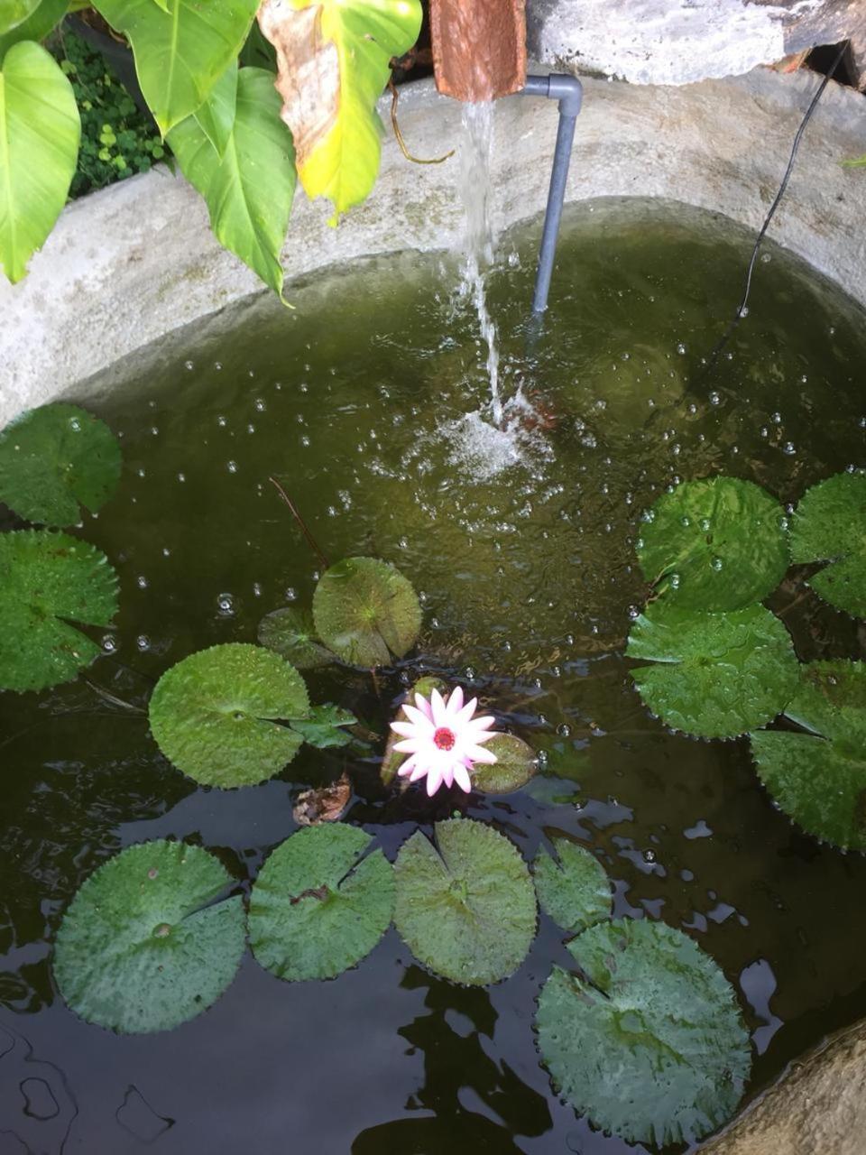 Winsent Villa Unawatuna Dış mekan fotoğraf